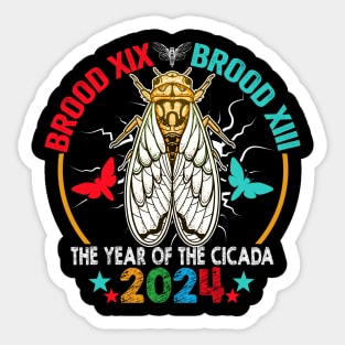 Cicada Tsunami Bugs Brood XIX Brood XIII 13 Year Of The Cicada 2024 Sticker